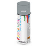 Mixed Paint For Rover Metro Skymist Grey Aerosol Spray A2