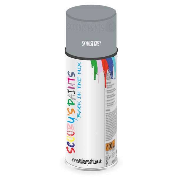 Mixed Paint For Austin Princess Skymist Grey Aerosol Spray A2