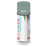 Mixed Paint For Morris Mini Smoke Grey Sg Aerosol Spray A2