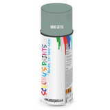 Mixed Paint For Rover A60 Cambridge Smoke Grey Sg Aerosol Spray A2