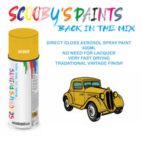 High-Quality SNAP DRAGON Aerosol Spray Paint FMN For Classic Rover 25- Paint for restoration high quality aerosol sprays