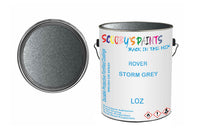 Mixed Paint For Mg Mgr V8, Storm Grey, Code: Loz, Silver-Grey