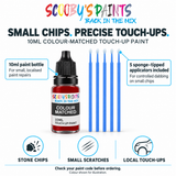 Scooby’s Paints 10ml paint bottle and five sponge-tipped applicators