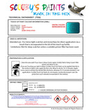 Instructions for use Suzuki Atlantis Turquoise Car Paint