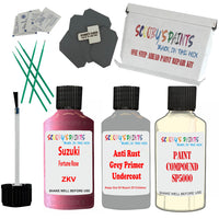 Suzuki Fortune Rose Car Detailing Paint and polish finishing kit