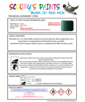 Instructions for use Suzuki Grove Green Car Paint