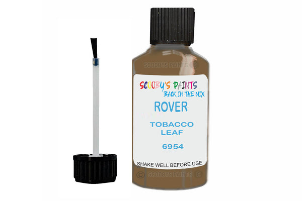 Mixed Paint For Rover 2500, Tobacco Leaf, Touch Up, 6954