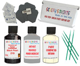 Precious Black Car Detailing Paint and polish finishing kit