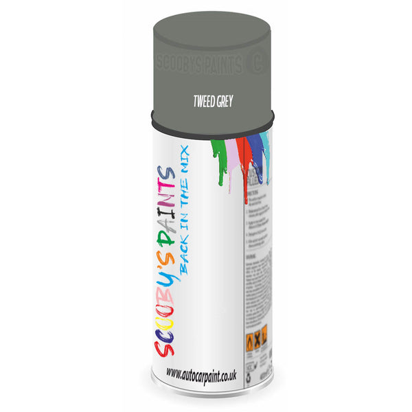 Mixed Paint For Austin Vitesse Tweed Grey Aerosol Spray A2