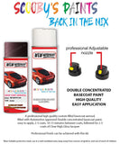 Paint For Toyota Rav4 Deep Amethyst 9Ah Aerosol Spray Paint Rattle Can