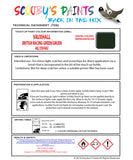 Touch Up Paint Instructions for use Vauxhall Catera Dschungelgruen/Jungle Green(Velvet)Mica Code 46L/359/46U
