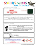 Touch Up Paint Instructions for use Vauxhall Astra Forest Green/Forstgruen Code 44L/3745