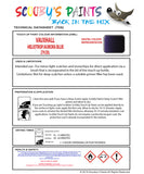 Touch Up Paint Instructions for use Vauxhall Astra Heliotrop/Aurora Blue Code 279/20L