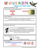 Touch Up Paint Instructions for use Vauxhall Astra Kiwi Code 384/15H/43U