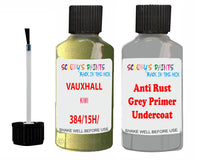 Vauxhall Astra Kiwi Code 384/15H/43U Anti rust primer protective paint