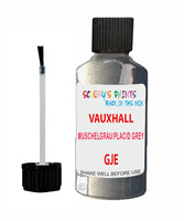 Vauxhall Antara Muschelgrau/Placid Grey Code Gje Touch Up Paint