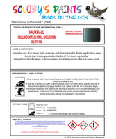 Touch Up Paint Instructions for use Vauxhall Coupe Uralmountain/Ural Mountain Code 382/3Fu/08L