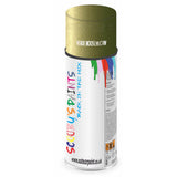 Mixed Paint For Rover Montego Verde Moos L95 C Vw Aerosol Spray A2