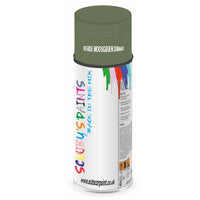 Mixed Paint For Mg Montego Verde Moosgruen Db860 Mercedes Aerosol Spray A2