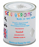 Paint Mixed Vauxhall Insignia Abalone White 42A/42B/486B Basecoat Car Spray Paint