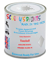 Paint Mixed Vauxhall Mokka Abalone White 42A/42B/486B Basecoat Car Spray Paint