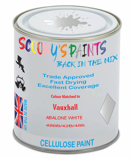 Paint Mixed Vauxhall Mokka X Abalone White 42A/42B/486B Cellulose Car Spray Paint