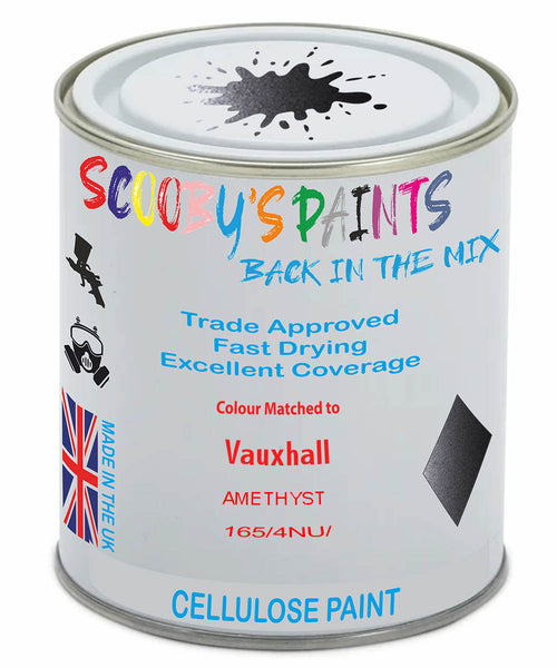 Paint Mixed Vauxhall Combo Amethyst 165/4Nu Cellulose Car Spray Paint