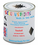 Paint Mixed Vauxhall Astra Asteroid Grey 169V/190/Gwh Basecoat Car Spray Paint