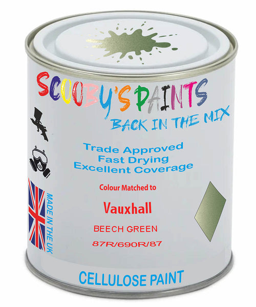 Paint Mixed Vauxhall Combo Beech Green 30M/690R/87R Cellulose Car Spray Paint