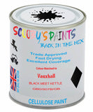 Paint Mixed Vauxhall Mokka Black Meet Kettle 22Y/507B/Gb0 Cellulose Car Spray Paint