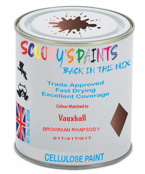 Paint Mixed Vauxhall Adam Brownian Rhapsody Gdm/41T/81T Cellulose Car Spray Paint