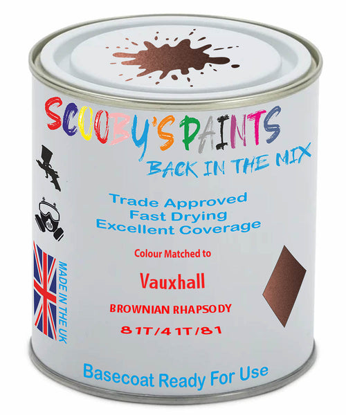 Paint Mixed Vauxhall Adam Brownian Rhapsody Gdm/41T/81T Basecoat Car Spray Paint