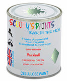 Paint Mixed Vauxhall Adam Caribbean Green 163V/30S/Gwc Cellulose Car Spray Paint