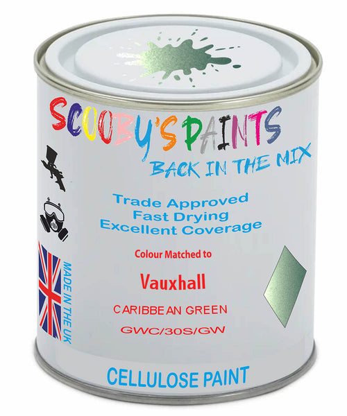 Paint Mixed Vauxhall Adam Caribbean Green 163V/30S/Gwc Cellulose Car Spray Paint