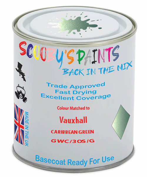 Paint Mixed Vauxhall Adam Caribbean Green 163V/30S/Gwc Basecoat Car Spray Paint