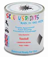 Paint Mixed Vauxhall Vivaro Cassiopea Silver 10J/192 Basecoat Car Spray Paint