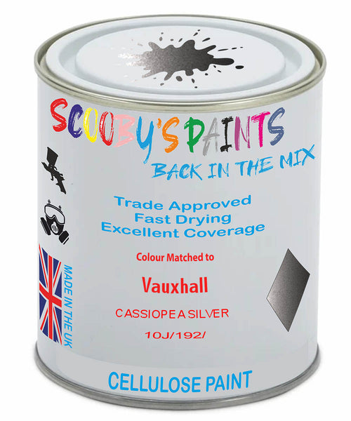 Paint Mixed Vauxhall Vivaro Cassiopea Silver 10J/192 Cellulose Car Spray Paint
