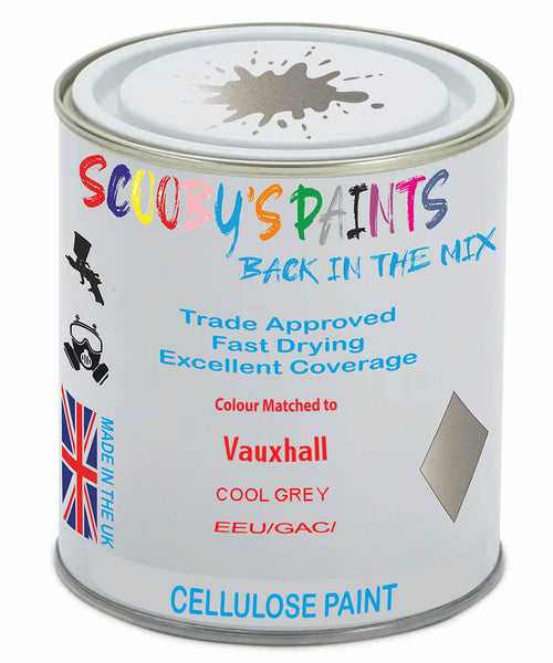 Paint Mixed Vauxhall Combo Cool Grey Eeu/Gac Cellulose Car Spray Paint