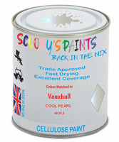 Paint Mixed Vauxhall Insignia Cool Pearl 40U Cellulose Car Spray Paint