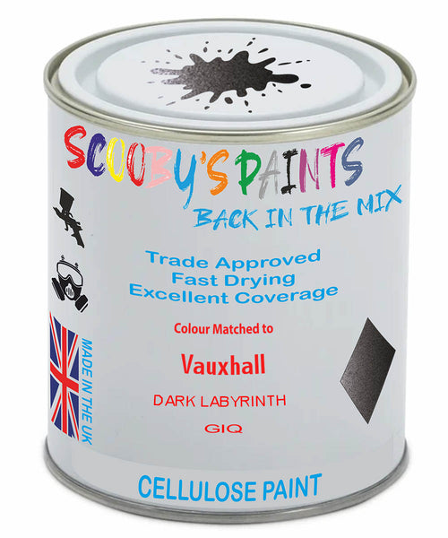 Paint Mixed Vauxhall Gt Dark Labyrinth Giq Cellulose Car Spray Paint