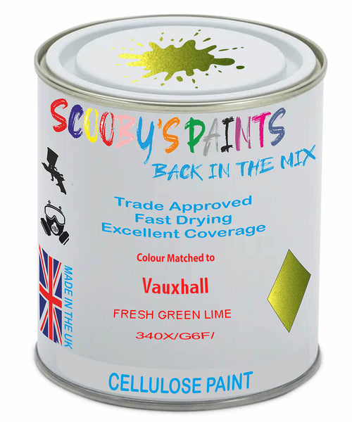 Paint Mixed Vauxhall Karl Fresh Green Lime 340X/G6F Cellulose Car Spray Paint