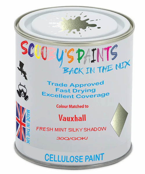 Paint Mixed Vauxhall Zafira Fresh Mint Silky Shadow 30Q/Gok Cellulose Car Spray Paint