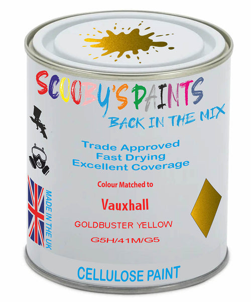 Paint Mixed Vauxhall Adam Goldbuster Yellow 181X/41M/G5H Cellulose Car Spray Paint