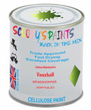 Paint Mixed Vauxhall Meriva Grasshopper 30P/Gle Cellulose Car Spray Paint