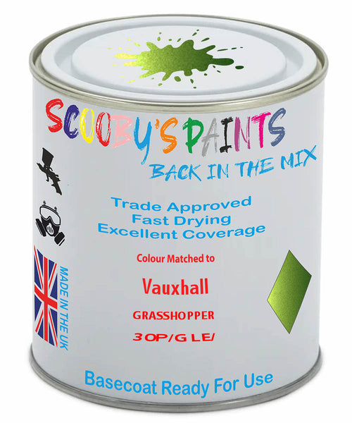 Paint Mixed Vauxhall Corsa Grasshopper 30P/Gle Basecoat Car Spray Paint