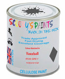 Paint Mixed Vauxhall Vivaro Iron Grey 10D/41Q Cellulose Car Spray Paint