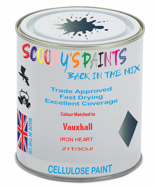 Paint Mixed Vauxhall Meriva Iron Heart 21T/3Cu Cellulose Car Spray Paint