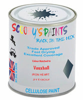 Paint Mixed Vauxhall Zafira Iron Heart 21T/3Cu Cellulose Car Spray Paint