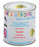 Paint Mixed Vauxhall Adam Lemon Tree 40T/40V/847S Basecoat Car Spray Paint