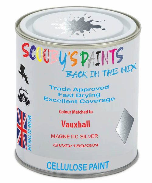 Paint Mixed Vauxhall Cascada Magnetic Silver 161V/189/Gwd Cellulose Car Spray Paint